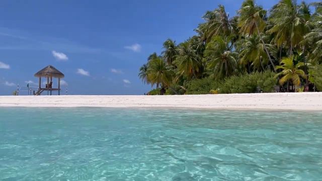 #6 Мальдивы. Остров Фихалхохи. Август 2023 смотреть онлайн