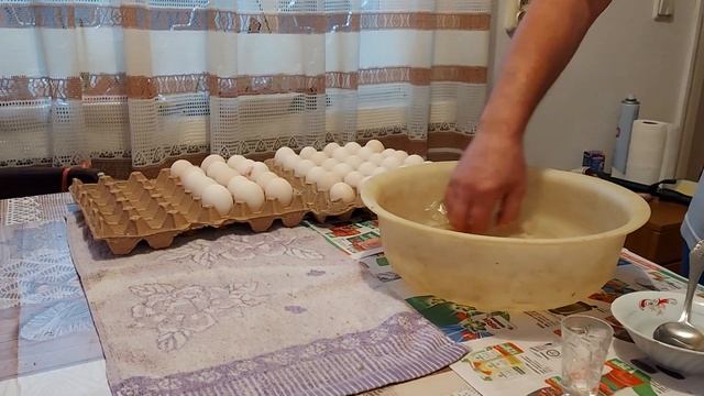 Дезинфекция яйца для инкубации