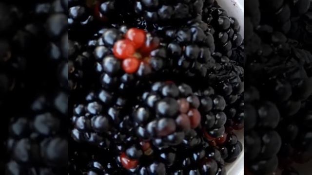 #ежевика смотреть онлайн