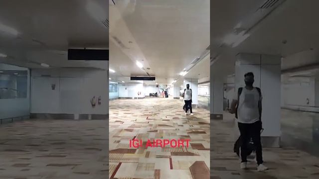 Delhi Airport Terminal 3 Domestic Arrival gates смотреть онлайн