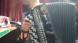 Баян бн-37 "Тула-209"