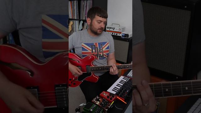 The Strokes - Reptilia (Loop) #thestrokes #guitarcover #guitarloop