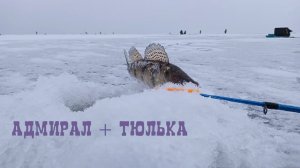 ЛОВЛЯ СУДАКА ЗИМОЙ НА БЛЕСНУ С ПОДСАДКОЙ ТЮЛЬКИ _ ЗИМНЯЯ РЫБАЛКА _ БЕРШ ИГРАЕТ СО МНОЙ В ПРЯТКИ.