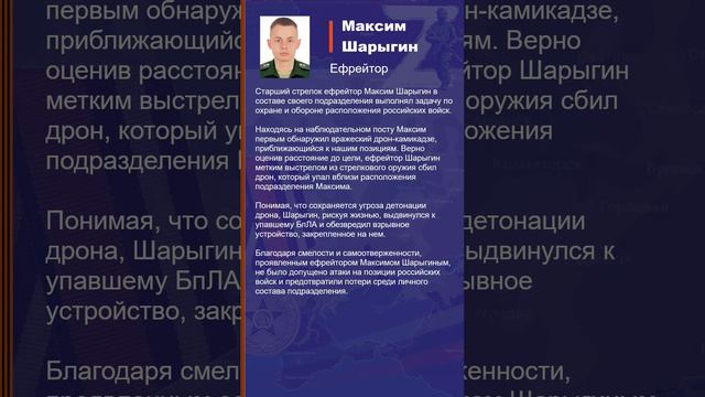 Максим Шарыгин Наградной лист Z