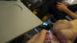 Катя и Макс летят на самолете домой