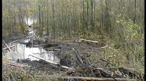 Подъем танка Т-34-76 Доватор