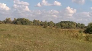 окрестности Мерети