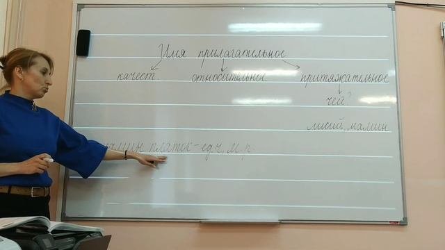 Притяжательные имена прилагательные