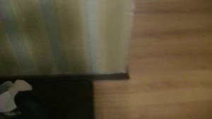 “Мастерята” 2023-2024 Правоохранительная деятельность (Полицейский)