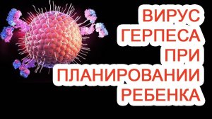 Вирус герпеса при планировании ребенка / Доктор Черепанов