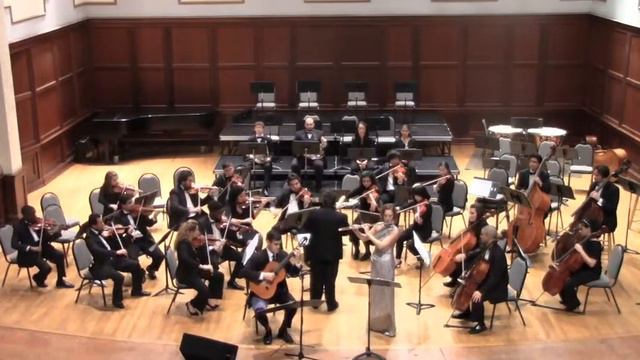 Mozart Double Concerto for Flute and Harp (arr. for guitar), K 299 смотреть онлайн