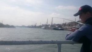 Ловля донской селедки в Ростове-на-Дону