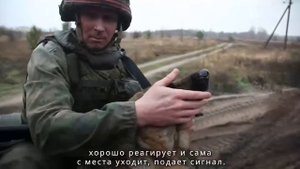 Шакира помогает артиллеристам держать рубежи
Немецкая овчарка несет службу на позициях.