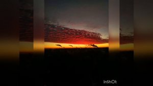 Нет я рук не уберёг, знаешь чисто из-за принципа??