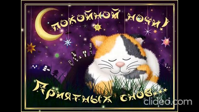 Спокойной ночи ? Приятных снов ??? смотреть онлайн