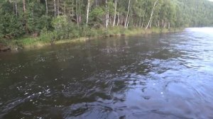 Рыбалка на хариуса на реке Тагул 2019 часть 1