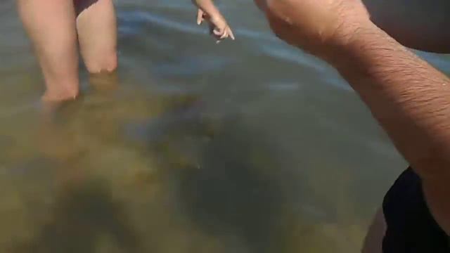 таково никто невидел.просто шок. смотреть онлайн