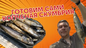 РЫБА ХОЛОДНОГО КОПЧЕНИЯ СВОИМИ РУКАМИ