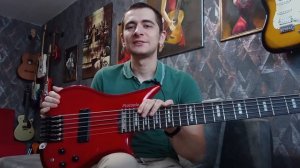 Дорогая и дешёвая гитара часть 1