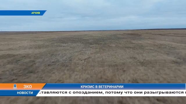 КРИЗИС В ВЕТЕРИНАРИИ смотреть онлайн