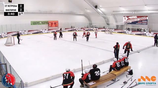 ЗШ (2) 08-09 г.р. | Степные ястребы - Виктория | 18 Ноября 2023 г. 13:15 | смотреть онлайн