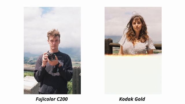 FUJICOLOR C200 vs KODAK GOLD 200: Which Film Stock Should You Shoot On? | 35mm Film Comparison смотреть онлайн