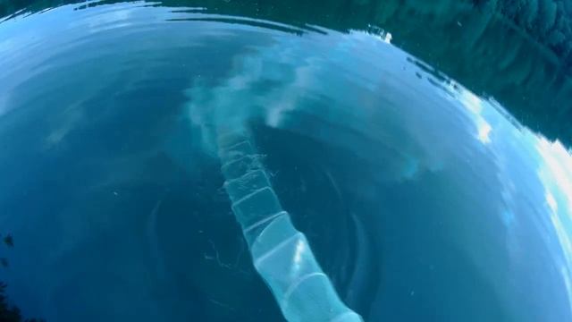 Полон ДОСАДЫ от ловли РАКОВ смотреть онлайн