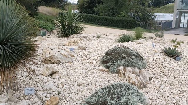 Ботанический сад с видом на море. Botanical garden with sea view, Le Havre, France