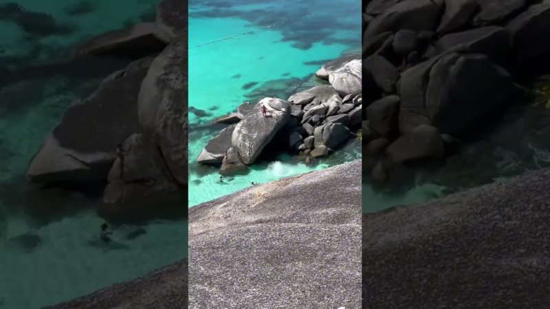 симиланы Пхукет, симиланы своим ходом, черепахи, similans phuket, similans on their own, turtles