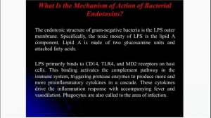 Lecture 9 — Exotoxins and Endotoxins.mp4