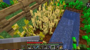 survival in minecraft 107