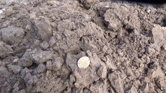 Полевые поиски монет по старым дорогам. смотреть онлайн