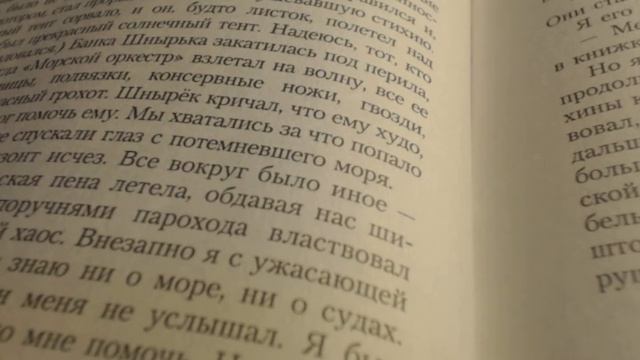 Мемуары папы Муми-тролля.Глава 4. (Туве Янссон). смотреть онлайн