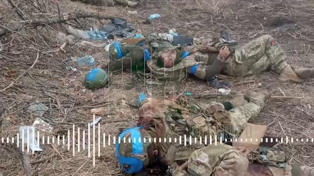 Украинские боевики, удирая бросают по дороге своих раненных побратимов