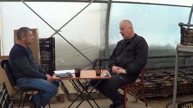 Бизнес на тюльпанах. Стартовый капитал.