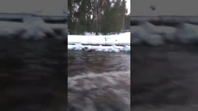 Чигиринское водохранилище.