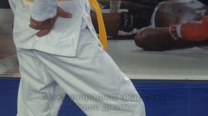 Лучшие болевые точки на ногах Куда бить для нокаута в ММА и других боевых искусствах