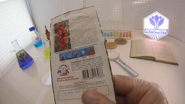 Томат Спрут сливка F1. СеДеК смотреть онлайн