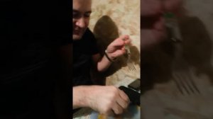 Рыбий пузырь