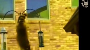 ПОУГАРАТЬ!!! РЖАЧ!!!!! Приколы за декабрь!!!!