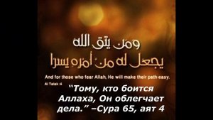 Цитаты из Корана: мудрость от Аллаха