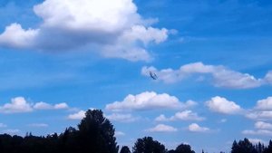 Модель самолета Ан-2 980 для Ивана / ALNADO