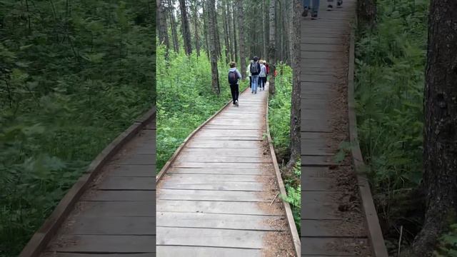 Эко- тропа в национальном парке Зюраткуль #урал #зюраткуль #озеро #тропа