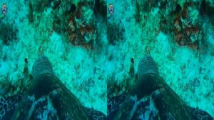 3D stereoscopic underwater video.  Diving in Mexico. Дайвинг в Мексике.