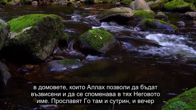 Глава 24 Леката, Изключително Мощна Рецитация На Корана, Над 90 Езикови Субтитри