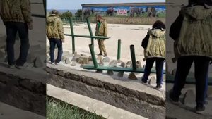 Тайган СЛОН ДЖЕНИ СБЕЖАЛА?#тайган