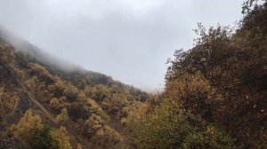 Охота на Дагестанского тура в Дагестане