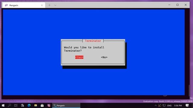 Install XServer and Linux Terminals on Pengwin смотреть онлайн