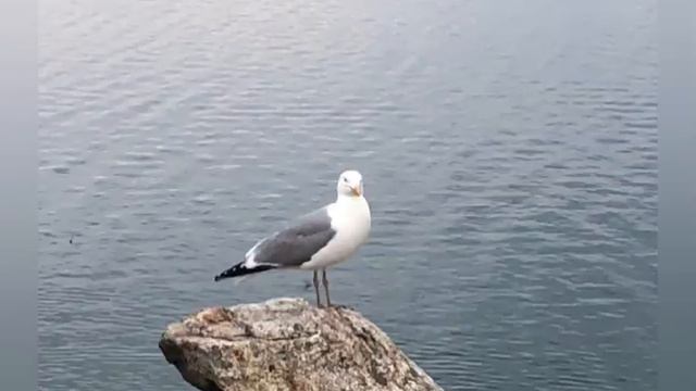 Родина на Байкале #местасилы #ольхон #хужир #родина #родинавшколе смотреть онлайн