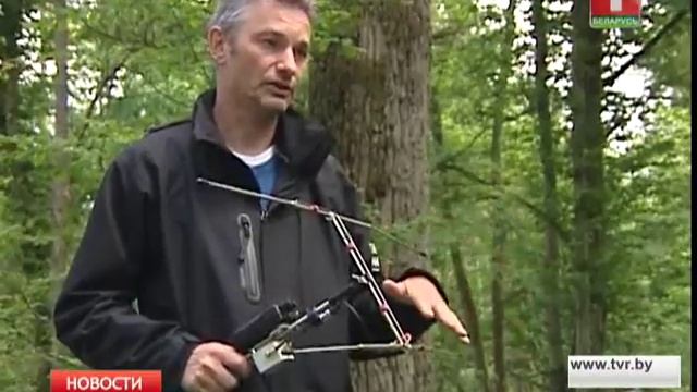 Неделя летучих мышей прошла в Беловежской пуще смотреть онлайн